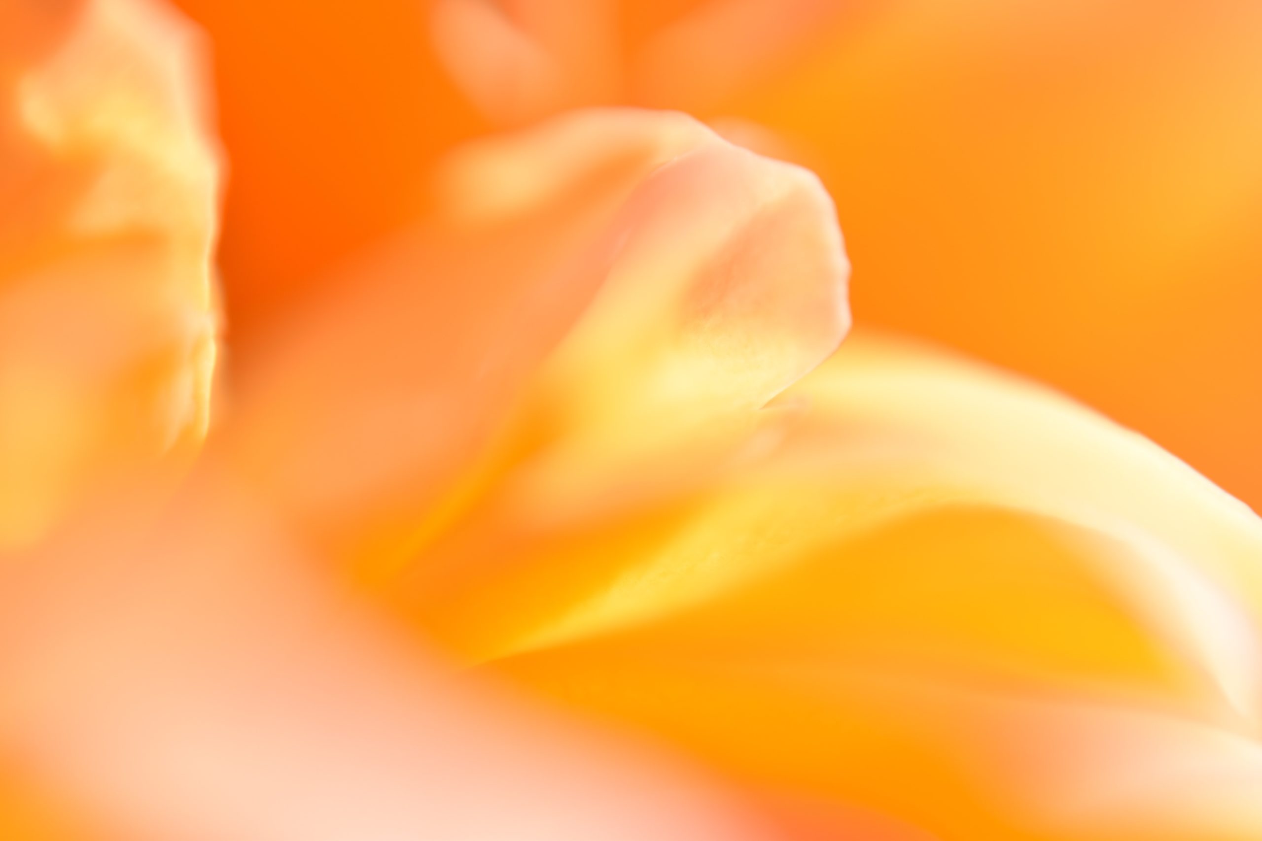 ben-ayers-IWa6qC28Ohk-unsplash