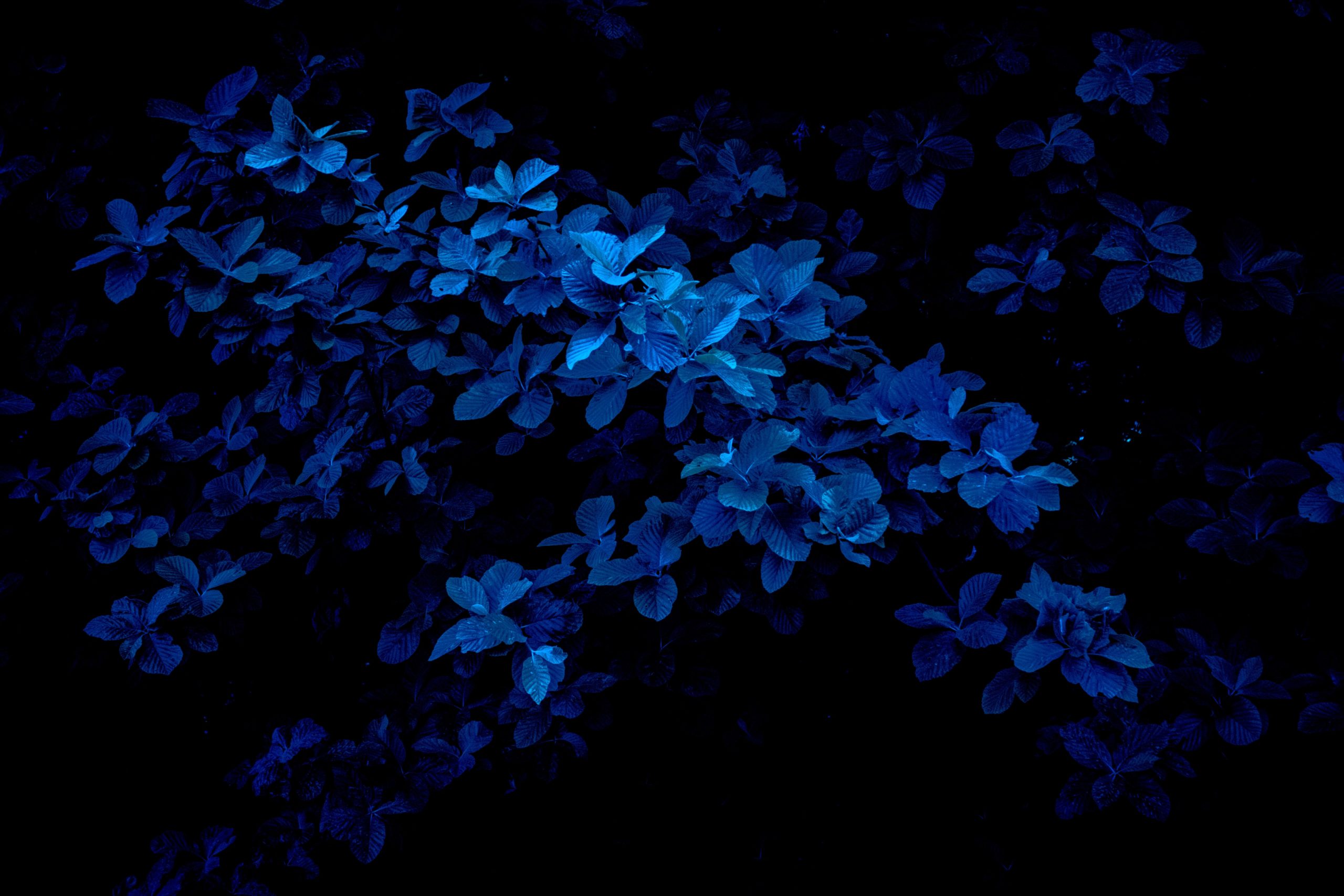 fabrizio-conti-kXVogATbFgA-unsplash